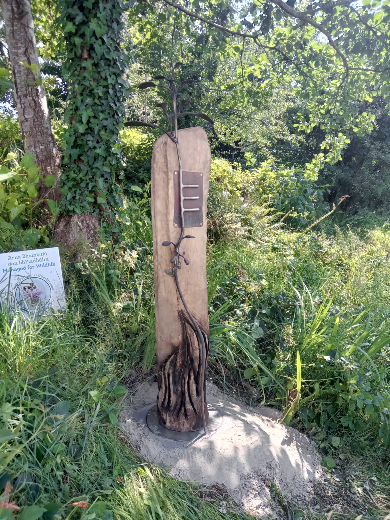 alder ogham tree sculpture made from wood and iron